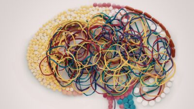 Brain in a dish
